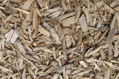 biomass boilers Llanedeyrn