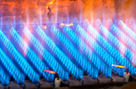 Llanedeyrn gas fired boilers